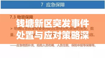 钱塘新区突发事件处置与应对策略深度解析