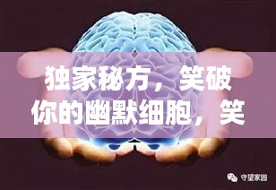 独家秘方，笑破你的幽默细胞，笑料大解密！