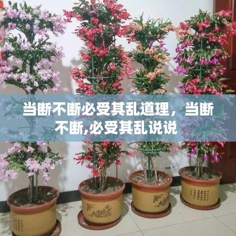 当断不断必受其乱道理，当断不断,必受其乱说说 