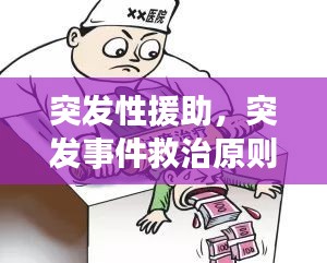 突发性援助，突发事件救治原则 