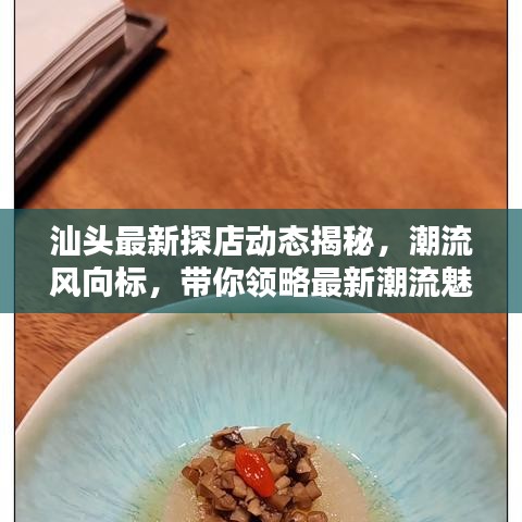 汕头最新探店动态揭秘，潮流风向标，带你领略最新潮流魅力