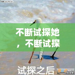 不断试探她，不断试探表情包 