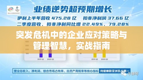 突发危机中的企业应对策略与管理智慧，实战指南