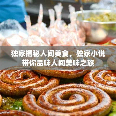 独家揭秘人间美食，独家小说带你品味人间美味之旅