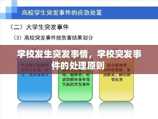 学校发生突发事情，学校突发事件的处理原则 