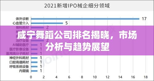 咸宁舞蹈公司排名揭晓，市场分析与趋势展望