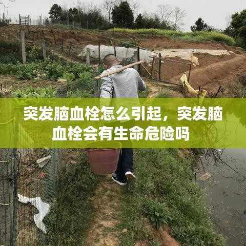 突发脑血栓怎么引起，突发脑血栓会有生命危险吗 