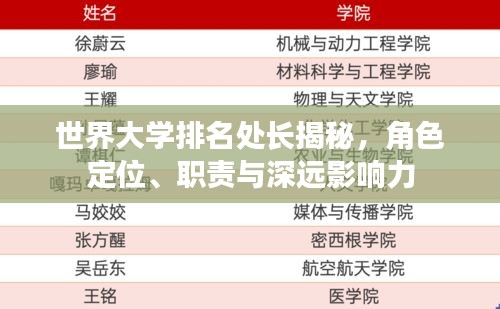 世界大学排名处长揭秘，角色定位、职责与深远影响力