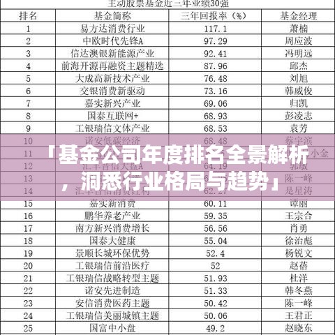 「基金公司年度排名全景解析，洞悉行业格局与趋势」