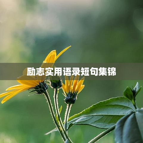 励志实用语录短句集锦