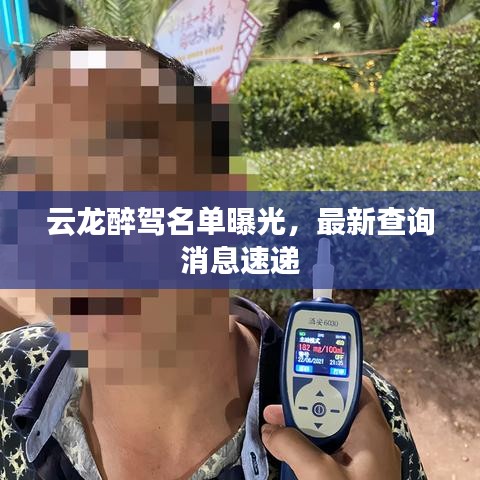 云龙醉驾名单曝光，最新查询消息速递