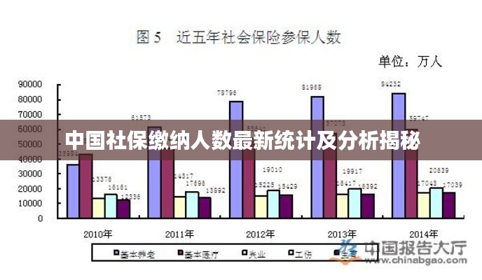 中国社保缴纳人数最新统计及分析揭秘