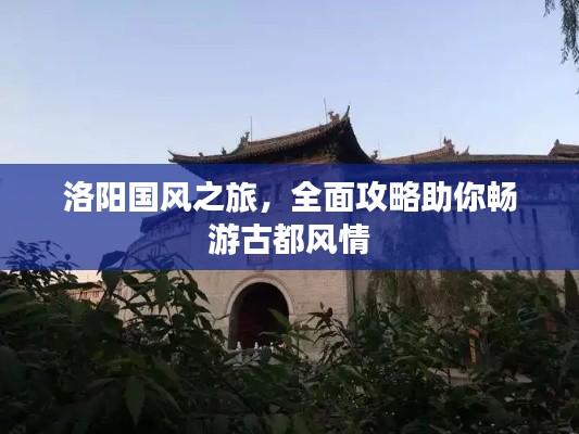 洛阳国风之旅，全面攻略助你畅游古都风情