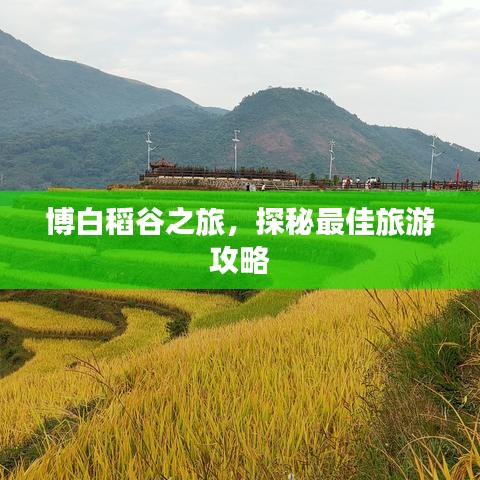 博白稻谷之旅，探秘最佳旅游攻略