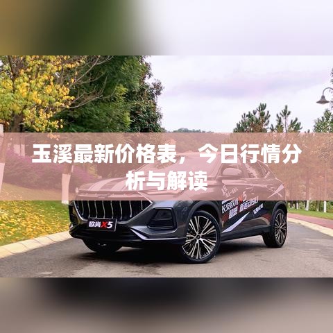 玉溪最新价格表，今日行情分析与解读