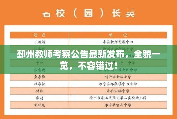 邳州教师考察公告最新发布，全貌一览，不容错过！