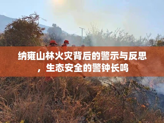 纳雍山林火灾背后的警示与反思，生态安全的警钟长鸣