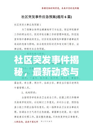 社区突发事件揭秘，最新动态与应对举措一网打尽！