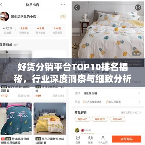 好货分销平台TOP10排名揭秘，行业深度洞察与细致分析