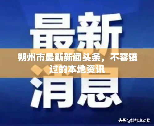 朔州市最新新闻头条，不容错过的本地资讯