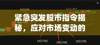 紧急突发股市指令揭秘，应对市场变动的关键策略指南