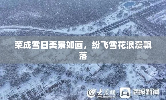 荣成雪日美景如画，纷飞雪花浪漫飘落