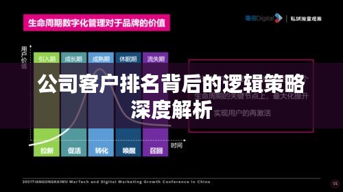 公司客户排名背后的逻辑策略深度解析