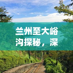 兰州至大峪沟探秘，深度旅游攻略，畅游自然美景！