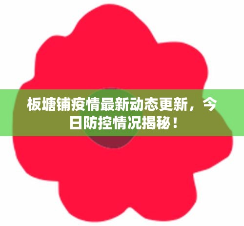 板塘铺疫情最新动态更新，今日防控情况揭秘！