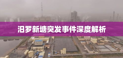 汨罗新塘突发事件深度解析