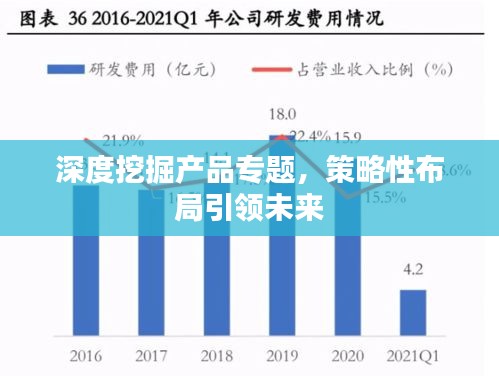 深度挖掘产品专题，策略性布局引领未来