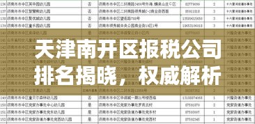 天津南开区报税公司排名揭晓，权威解析助你了解行业佼佼者