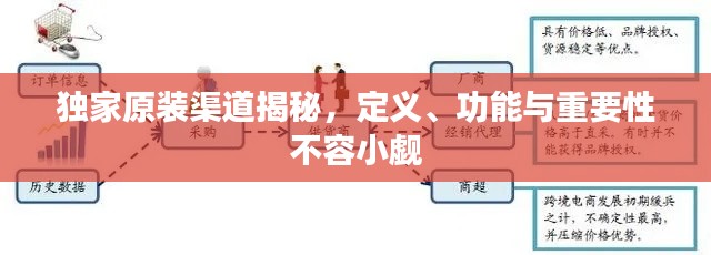 独家原装渠道揭秘，定义、功能与重要性不容小觑