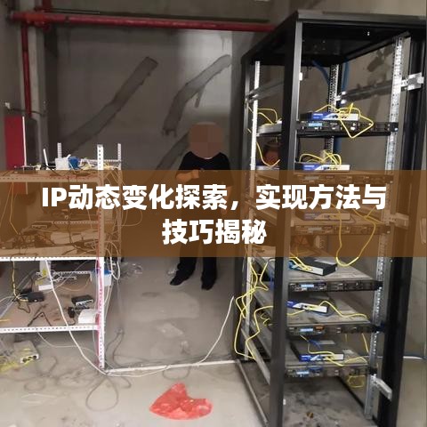 IP动态变化探索，实现方法与技巧揭秘