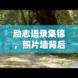 励志语录集锦，照片墙背后的力量