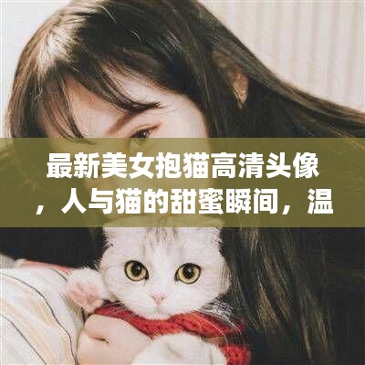 最新美女抱猫高清头像，人与猫的甜蜜瞬间，温馨画面不容错过