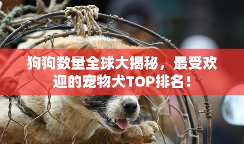 狗狗数量全球大揭秘，最受欢迎的宠物犬TOP排名！