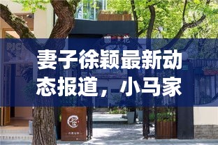 妻子徐颖最新动态报道，小马家的新鲜事