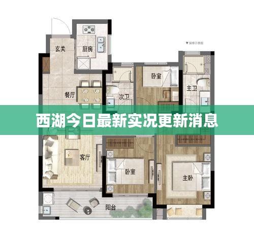 西湖今日最新实况更新消息