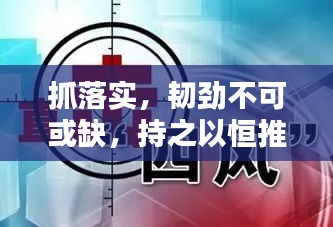 抓落实，韧劲不可或缺，持之以恒推动目标实现