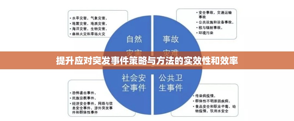 提升应对突发事件策略与方法的实效性和效率