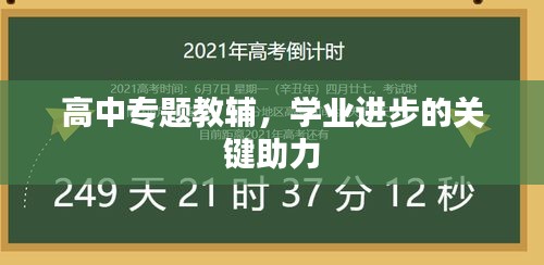 高中专题教辅，学业进步的关键助力