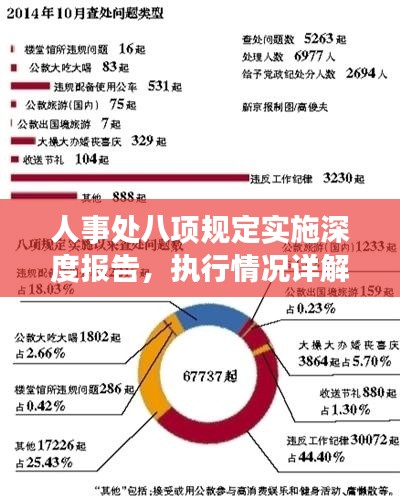 人事处八项规定实施深度报告，执行情况详解与成效分析