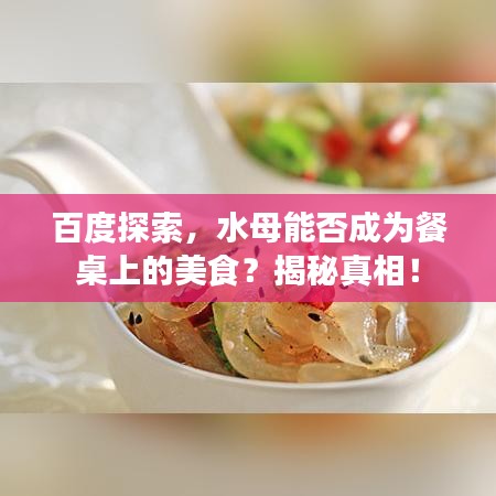 百度探索，水母能否成为餐桌上的美食？揭秘真相！