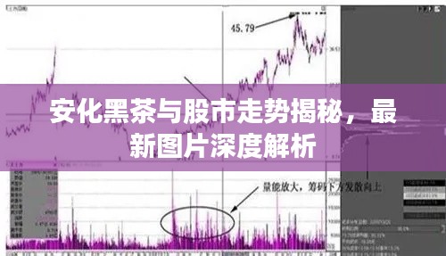 安化黑茶与股市走势揭秘，最新图片深度解析