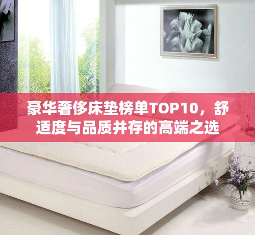 豪华奢侈床垫榜单TOP10，舒适度与品质并存的高端之选