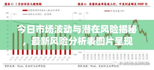 今日市场波动与潜在风险揭秘，最新风险分析表图片呈现