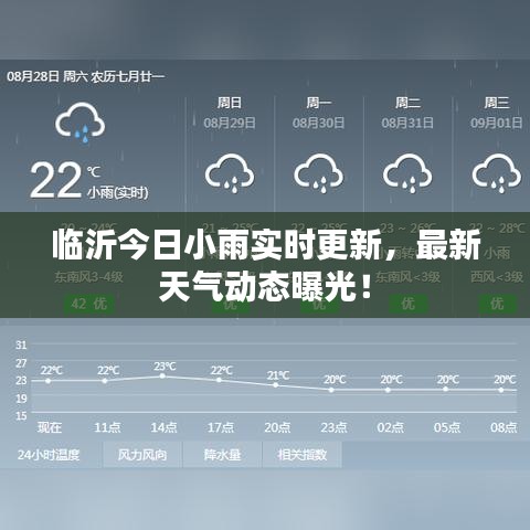 临沂今日小雨实时更新，最新天气动态曝光！