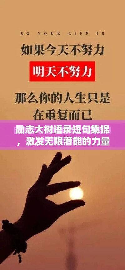 励志大树语录短句集锦，激发无限潜能的力量之语