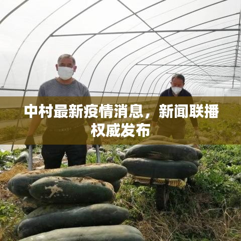 中村最新疫情消息，新闻联播权威发布